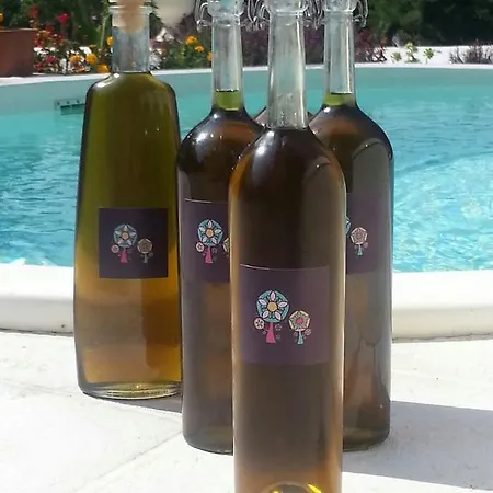 Bed & Breakfast Alsogno San Clemente (Rimini)