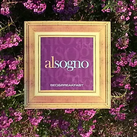 Alsogno *