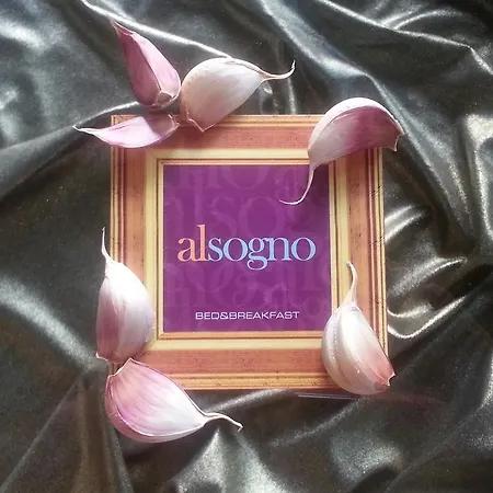 Bed & Breakfast Alsogno *